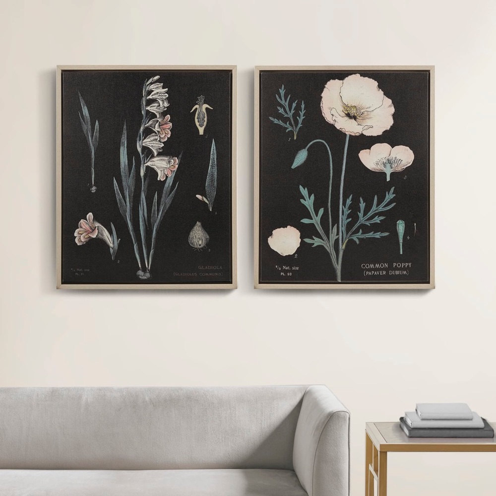 MARTHA STEWART Botanical Contrast 2 Piece Framed Canvas Art